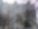 Miskolc